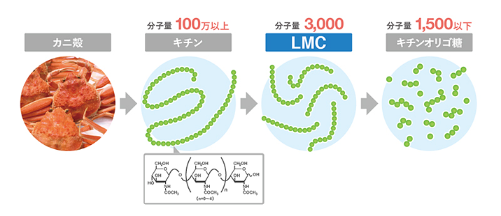 キトサン 効果 キチン