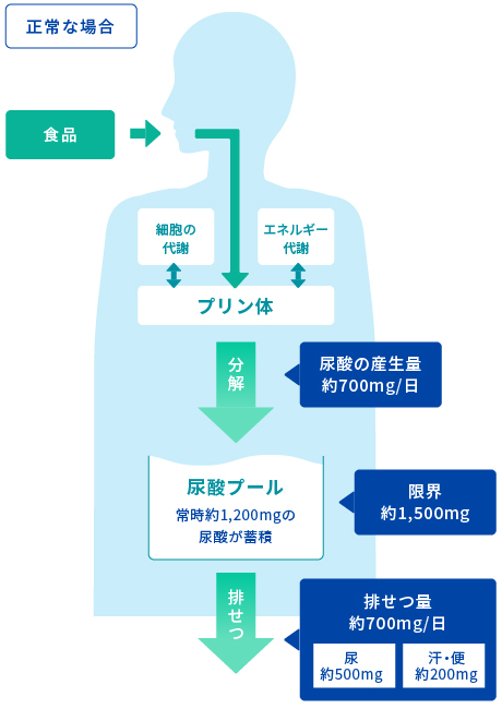 尿酸の産生と排せつのメカニズム　図