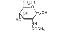 N-アセチルグルコサミン　構造式