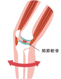 正常な膝の図