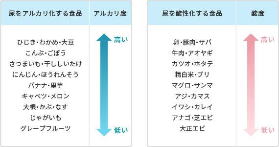 尿をアルカリ化する食品と酸性化する食品