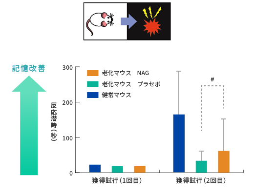 ステップスルー型受動的回避反応試験結果