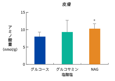 アミノ酸量　グラフ