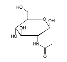 N-アセチルグルコサミン　構造式