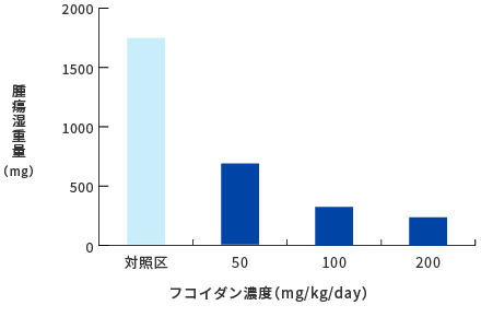 フコイダンの抗腫瘍効果　グラフ