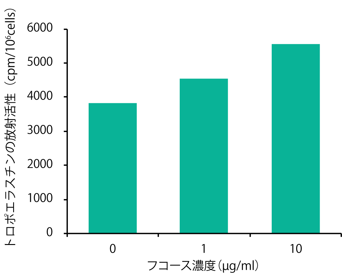 フコース_肌質改善