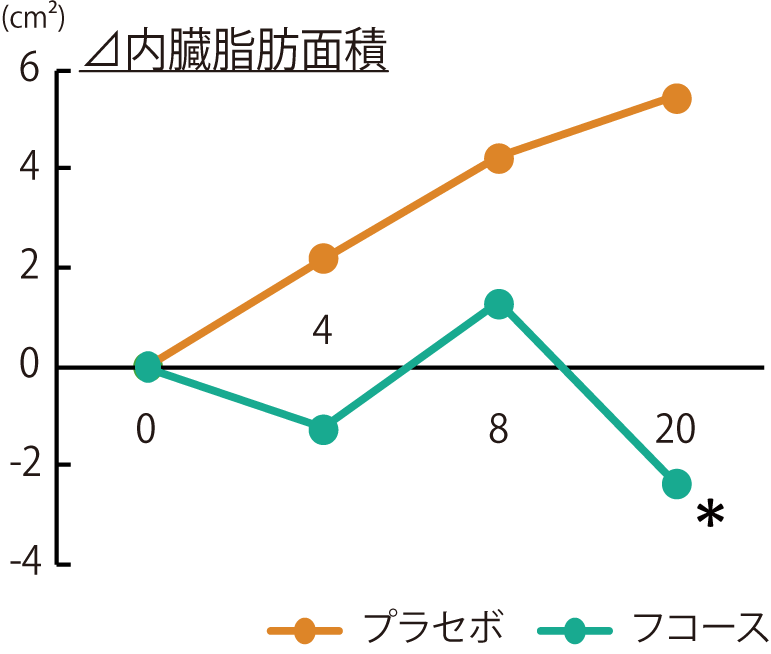 フコース_内臓脂肪面積