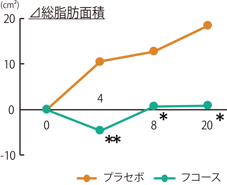 フコース_総脂肪面積