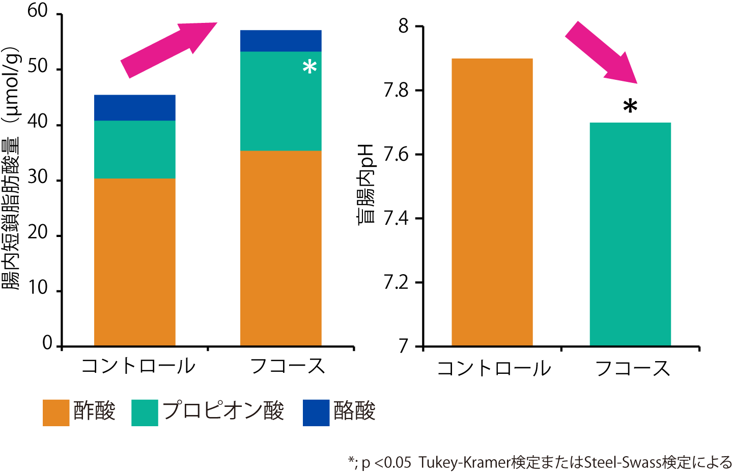 フコース_腸内環境改善