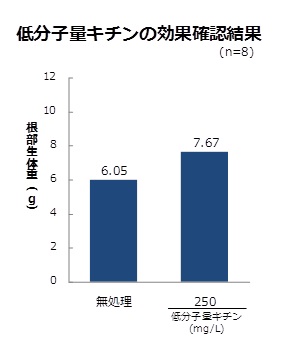 低分子量キチンの効果確認_根部生体重