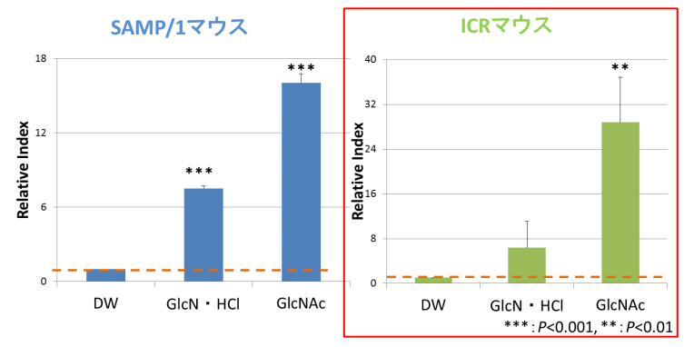 ムチン層肥厚