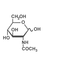 N-acetylglucosamine