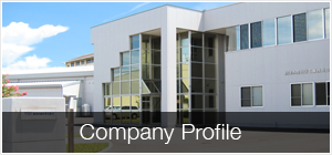 Company Profile